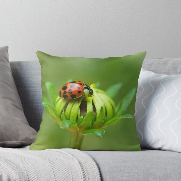 Artikelvorschau, Ladybug IV entworfen und verkauft von Leisa  Hennessy.