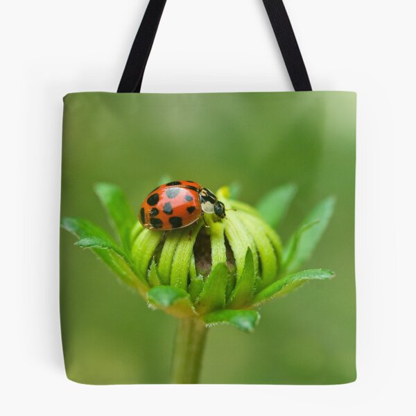 Item preview, Ladybug IV designed and sold by Leisa  Hennessy.