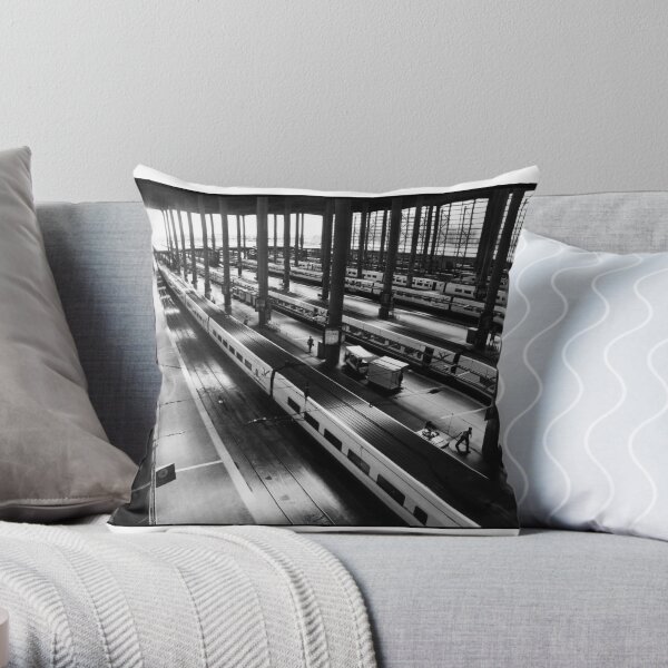 Atoche Train Station Madrid A to B Throw Pillow