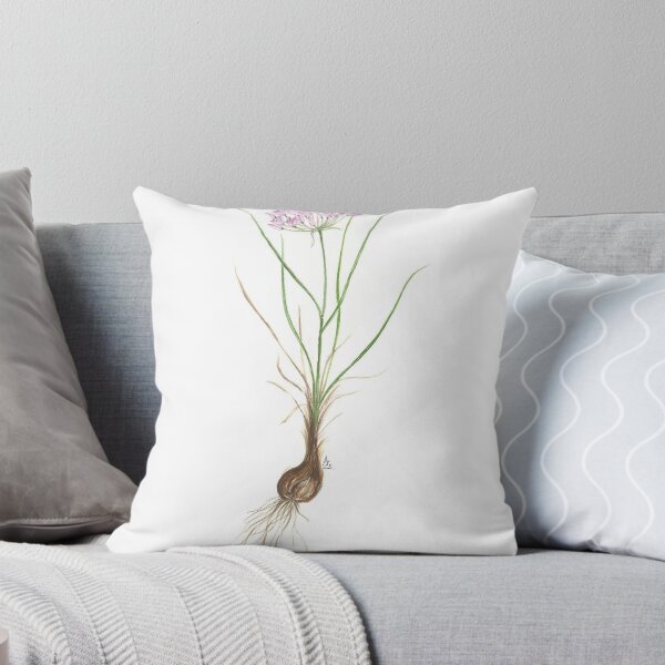 Item preview, Musk Onion - Allium moschatum designed and sold by Sue Abonyi.