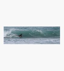 boogie boarder Photographic Print