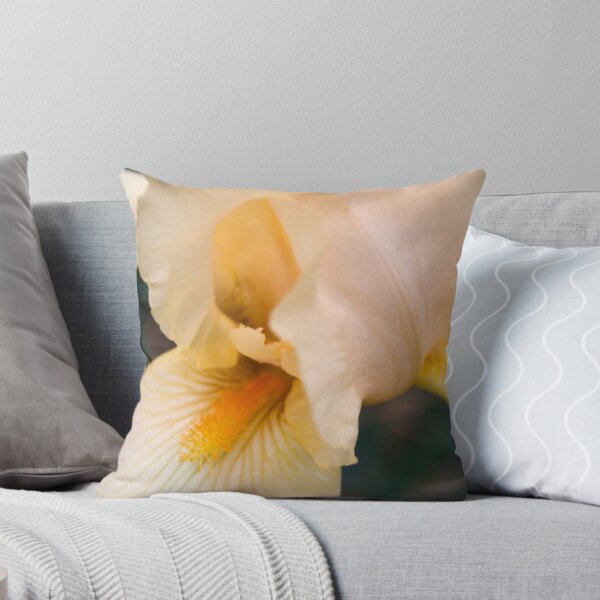 Artikelvorschau, Peach Iris entworfen und verkauft von Dan Cahill.