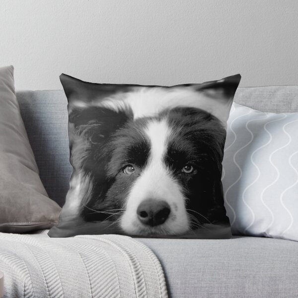 Jessie Throw Pillow