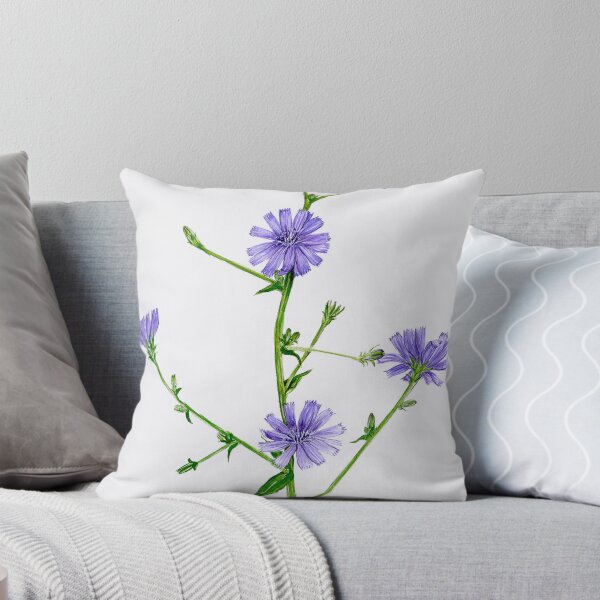 Item preview, Chicory - Chicorium inthybus designed and sold by Sue Abonyi.