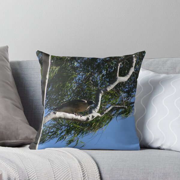 Aperçu de l'œuvre Red Tail Hawk in Tree créée et vendue par cfam.