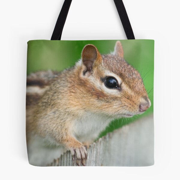 Item preview, Eastern Chipmunk designed and sold by Leisa  Hennessy.