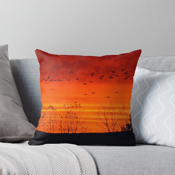 Item preview, De vuelta a casa ! designed and sold by robkal.