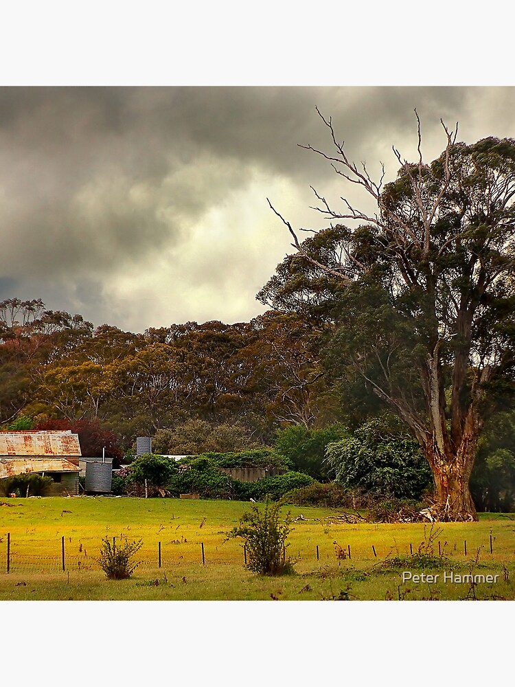 Country Farm by PeterH