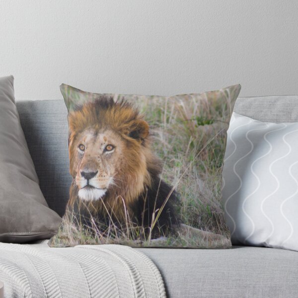 Item preview, The King of the Jungle designed and sold by Ryan Jennings.