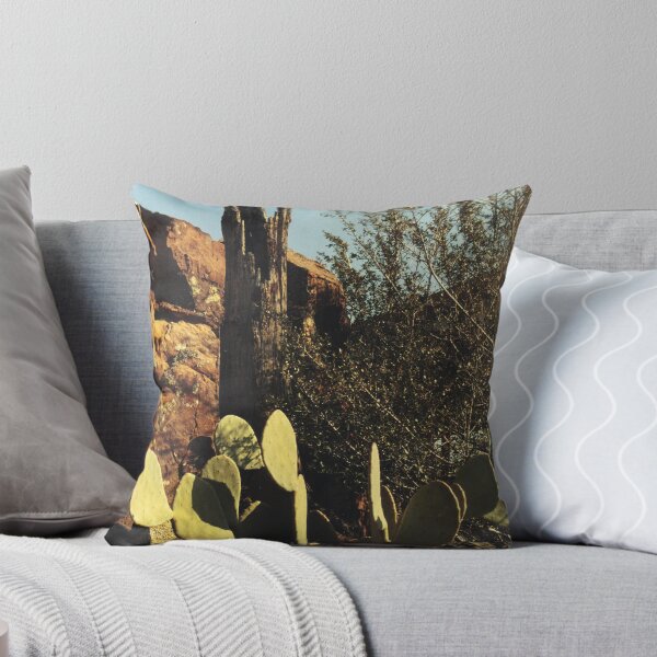 Item preview, Cacti designed and sold by diffusion.