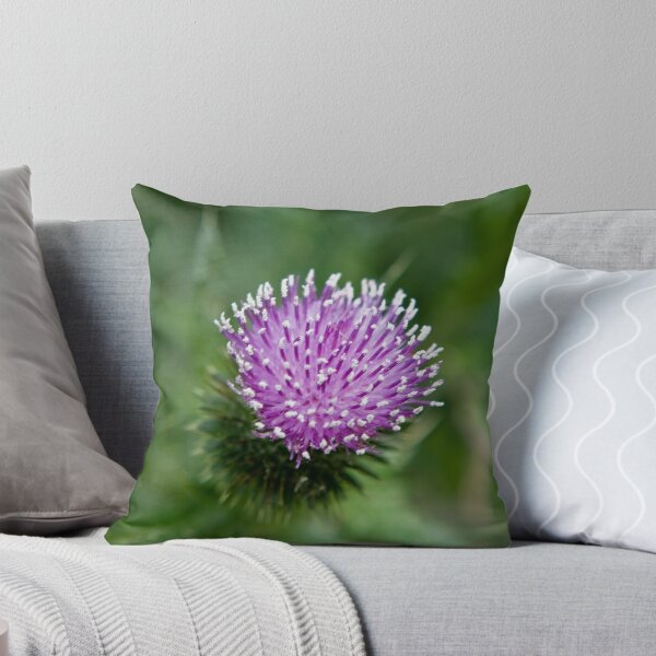 Artikelvorschau, Scotch Thistle entworfen und verkauft von James Ottaway.