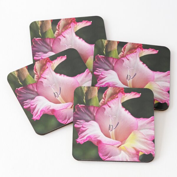 Item preview, Gladiolus Delight designed and sold by Joy Watson - Natural Light Photography .