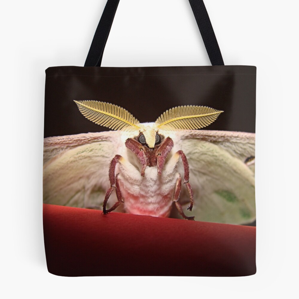 Item preview, All Over Print Tote Bag designed and sold by rrorrer.