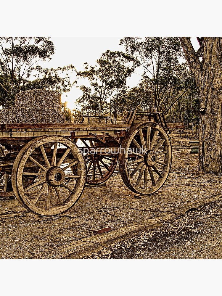 Wagon Wheels by sparrowhawk