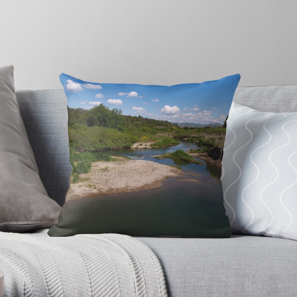 Pausing by Pebble Creek Throw Pillow