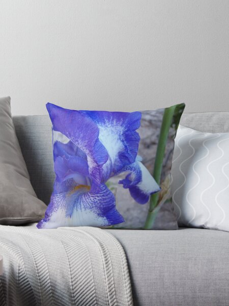 Item preview, bearded iris designed and sold by Gaylene Norton.