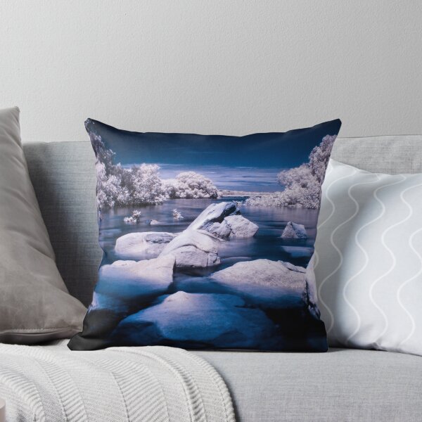 Immersion Throw Pillow