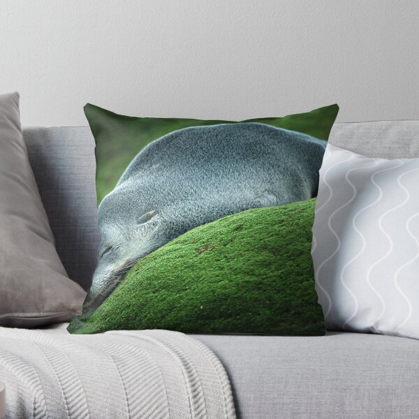 Flat Out Throw Pillow
