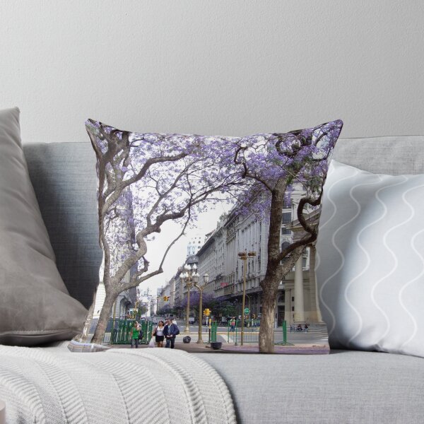 Item preview, Scene from City Square Buenos Aires, South America designed and sold by Maureen Smith.