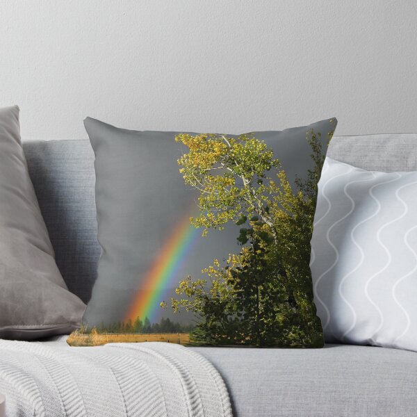 Aperçu de l'œuvre Fall Rainbow créée et vendue par Janet Houlihan.