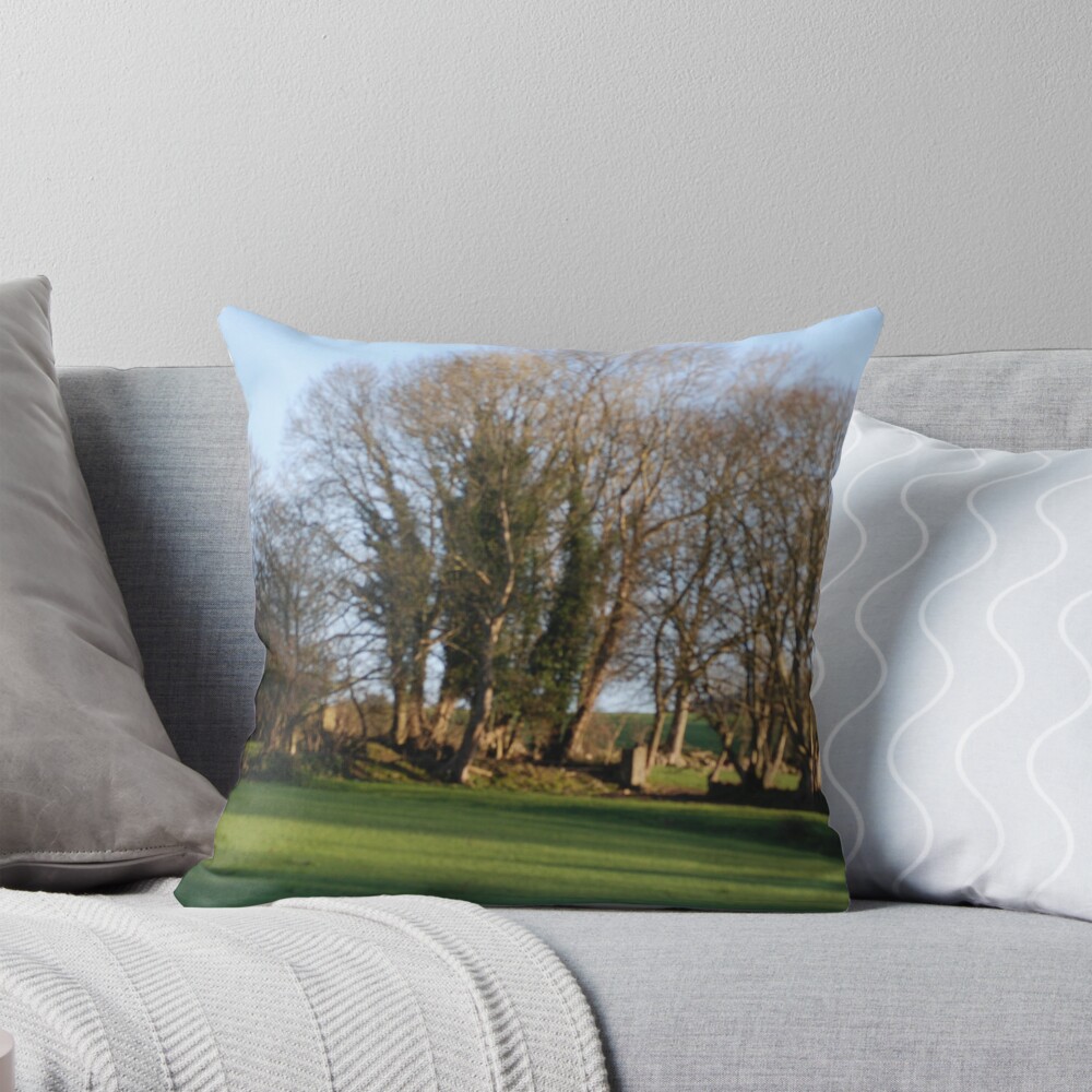Item preview, Throw Pillow designed and sold by TIMKIELY.
