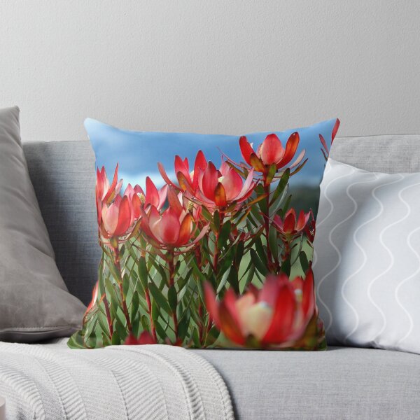 Item preview, Protea flowers designed and sold by Malcolm Garth.