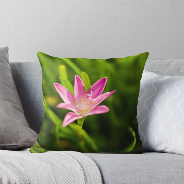 Item preview, Spring designed and sold by Cvail73.