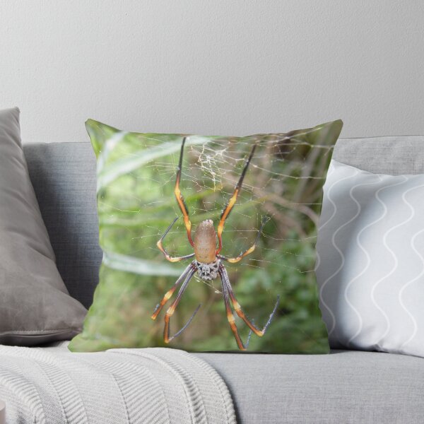 Item preview, Spider in web  designed and sold by jack01.