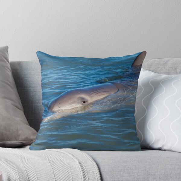 Item preview, Dolphins Of Monkey Mia designed and sold by Damiend.