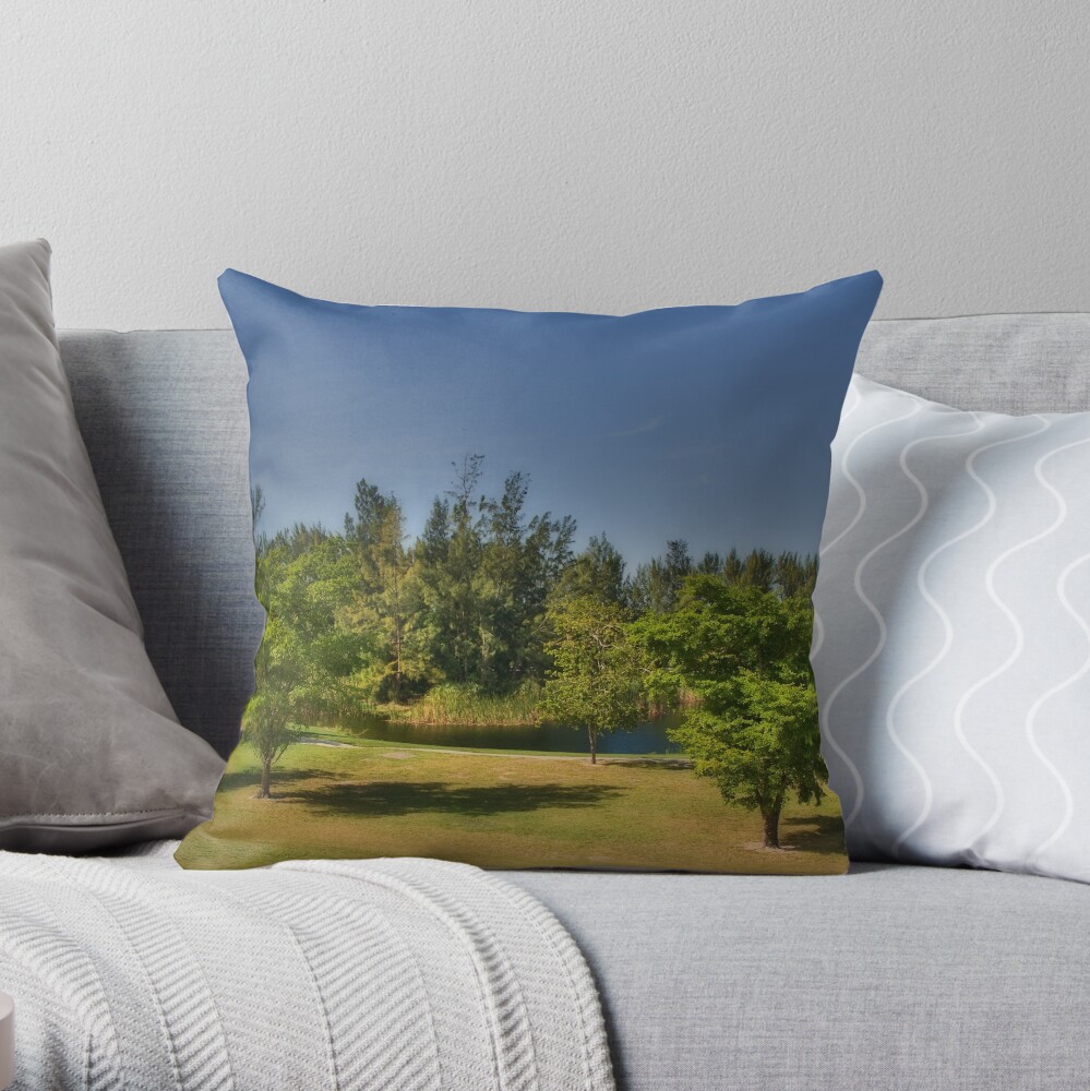 Miami Winter Throw Pillow