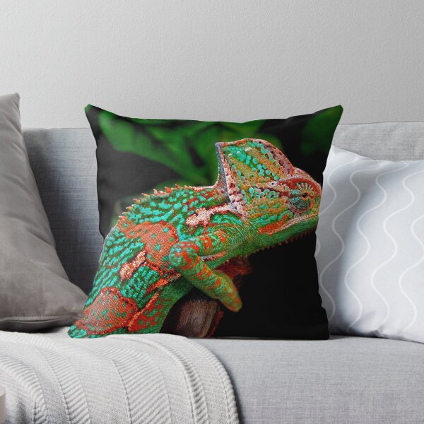 Multiple Personality Disorder Throw Pillow