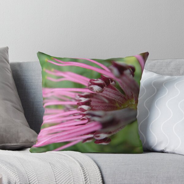 Item preview, Grevillea Fingers designed and sold by Sybelle.