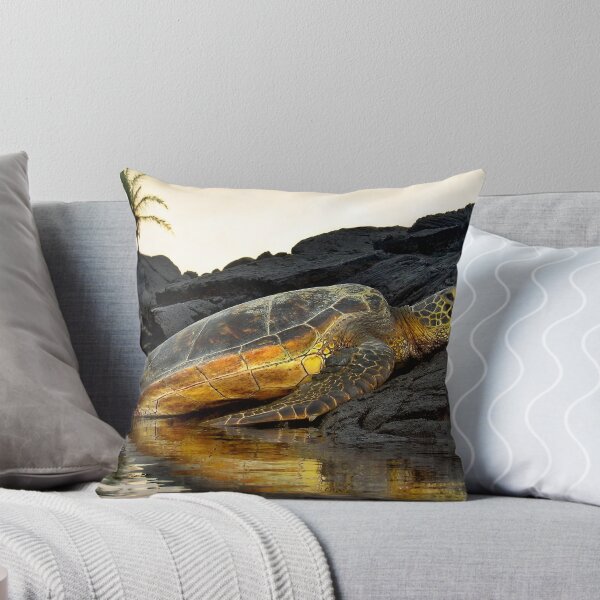 Item preview, Turtle resting designed and sold by Yves Rubin.