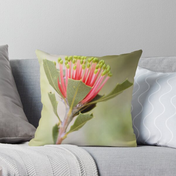 Item preview, Matchstick Banksia designed and sold by ChrisRoss.