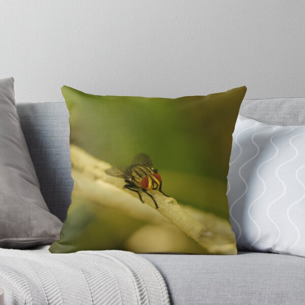 Item preview, Blowfly designed and sold by Cameron O'Neill.