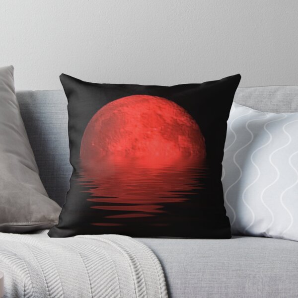 Throw Pillow
