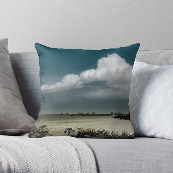 Overwhelmed Throw Pillow