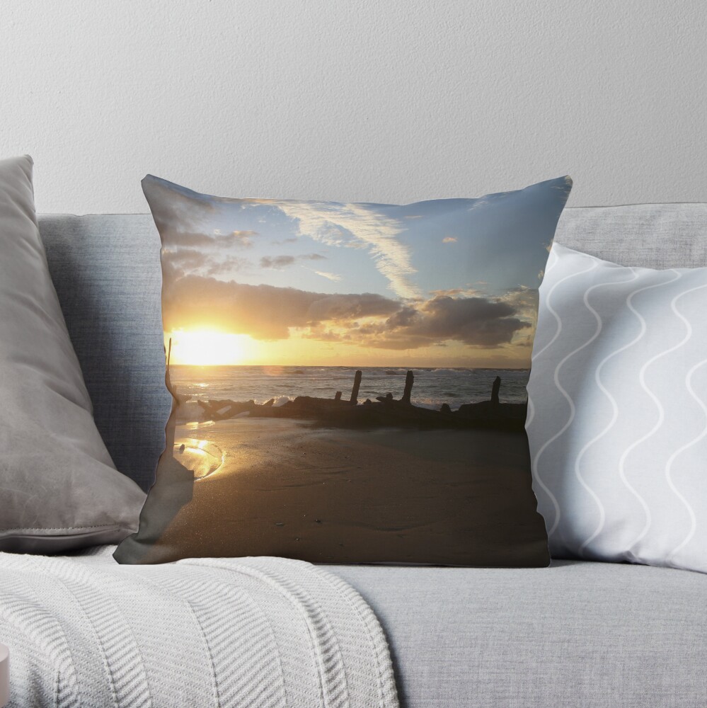 SS Dicky Throw Pillow