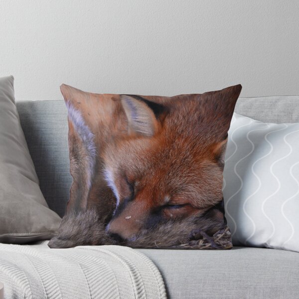 Item preview, Sleeping Fox designed and sold by Caroline Bland.