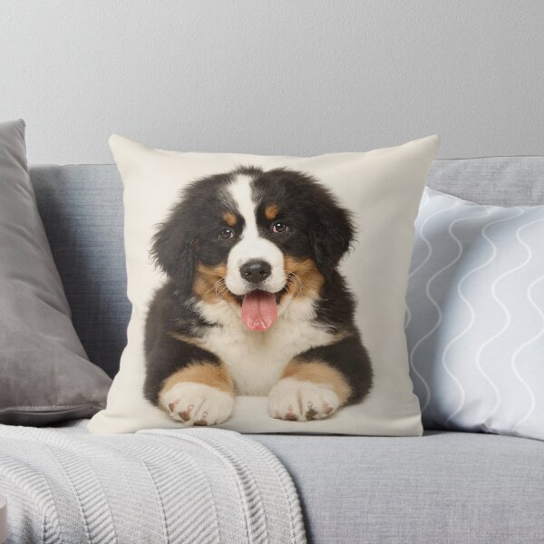 dog breed cushions