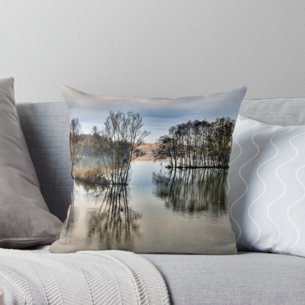 Item preview, Flooded Landscape designed and sold by niklens.