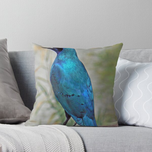 Item preview, Glossy Starling  (III) designed and sold by AARDVARK.