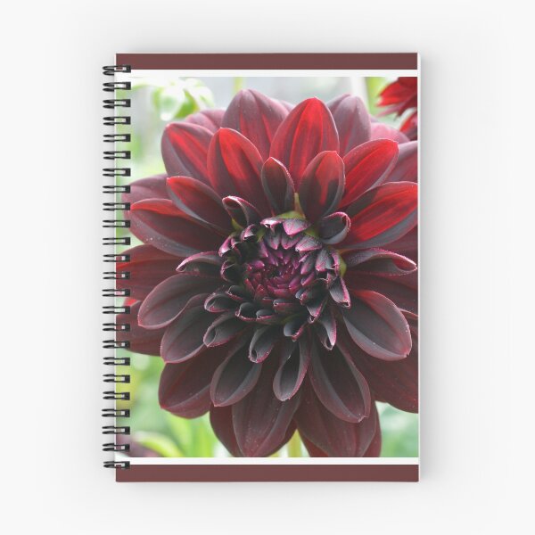 Item preview, Maroon Rose designed and sold by LizardSpirit.