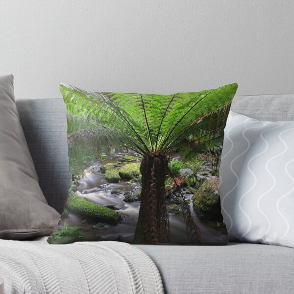Item preview, Rainforest, Nelson River, Tasmania designed and sold by David Jamrozik.