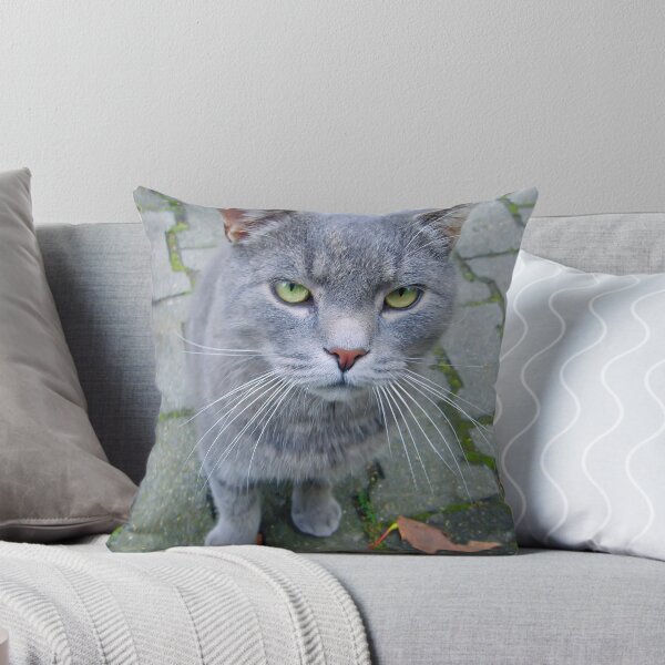 Item preview, Autumn cat... designed and sold by Nuh Sarche.