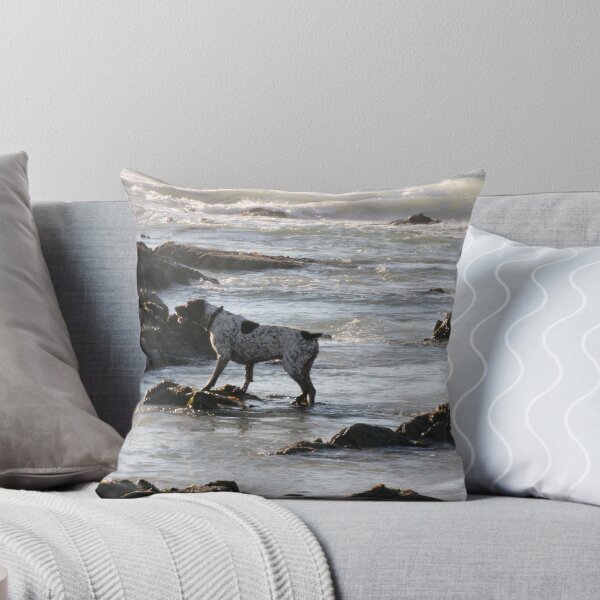 Item preview, Pointer on Point designed and sold by Rob Mc Alister.
