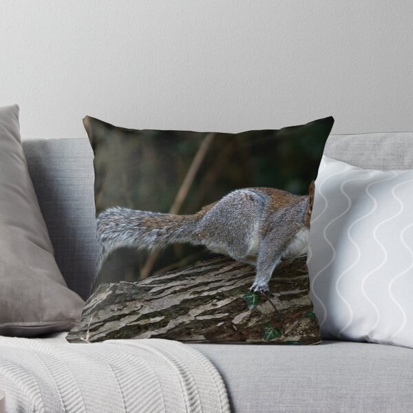 Item preview, Le Squirrel designed and sold by Daveart.