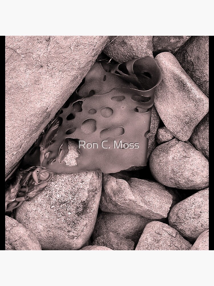 Thumbnail 2 of 2, Tote Bag, Rock Kelp designed and sold by Ron C. Moss.