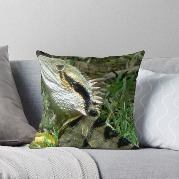 Item preview, Journey around my Dam after rain #4 with one of the residents. designed and sold by ginnymac.