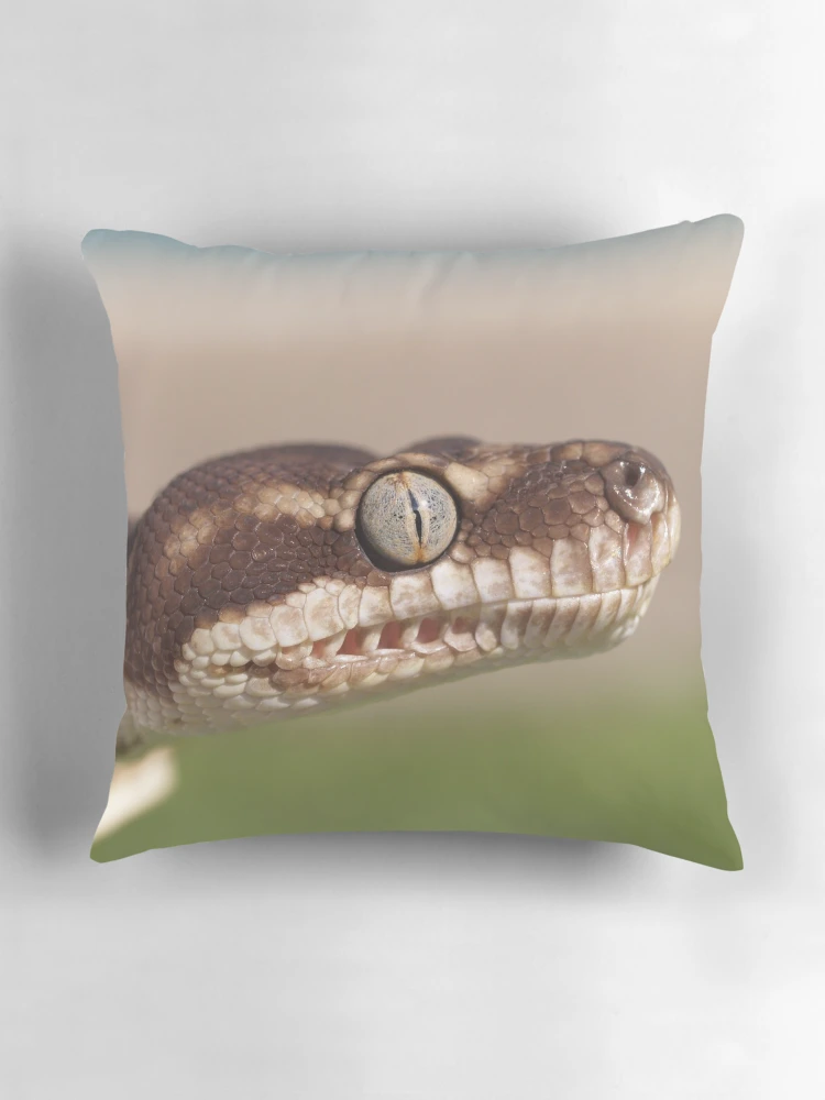 Thumbnail 3 of 4, Pillow, Concentration - Rough Scaled Python designed and sold by Steve Bullock.